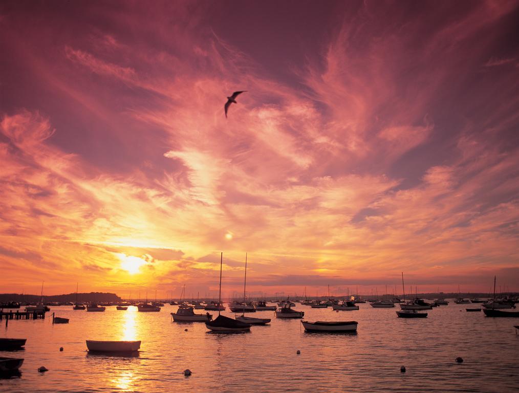 The Canford Poole Esterno foto
